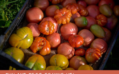 PVSC Voice August 2024