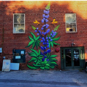 Walking Tour of Bangor Beautiful Art Installations and Visit to the Zillman Art Museum